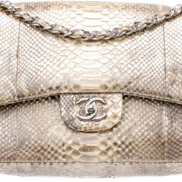 Chanel python - Picture 1 of 4